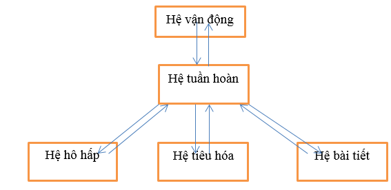 Giải bài 2 trang 112 sgk Sinh 8 | Để học tốt Sinh 8