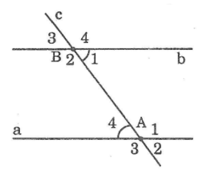 Giải sách bài tập Toán 7 | Giải sbt Toán 7