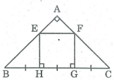 Giải Sbt Toán 8 Bài 12: Hình Vuông