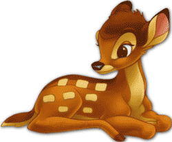 fawn image